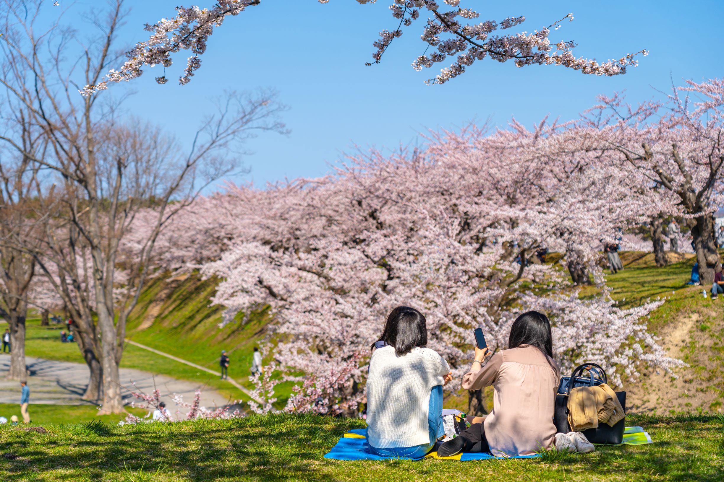 japan travel specialist sydney