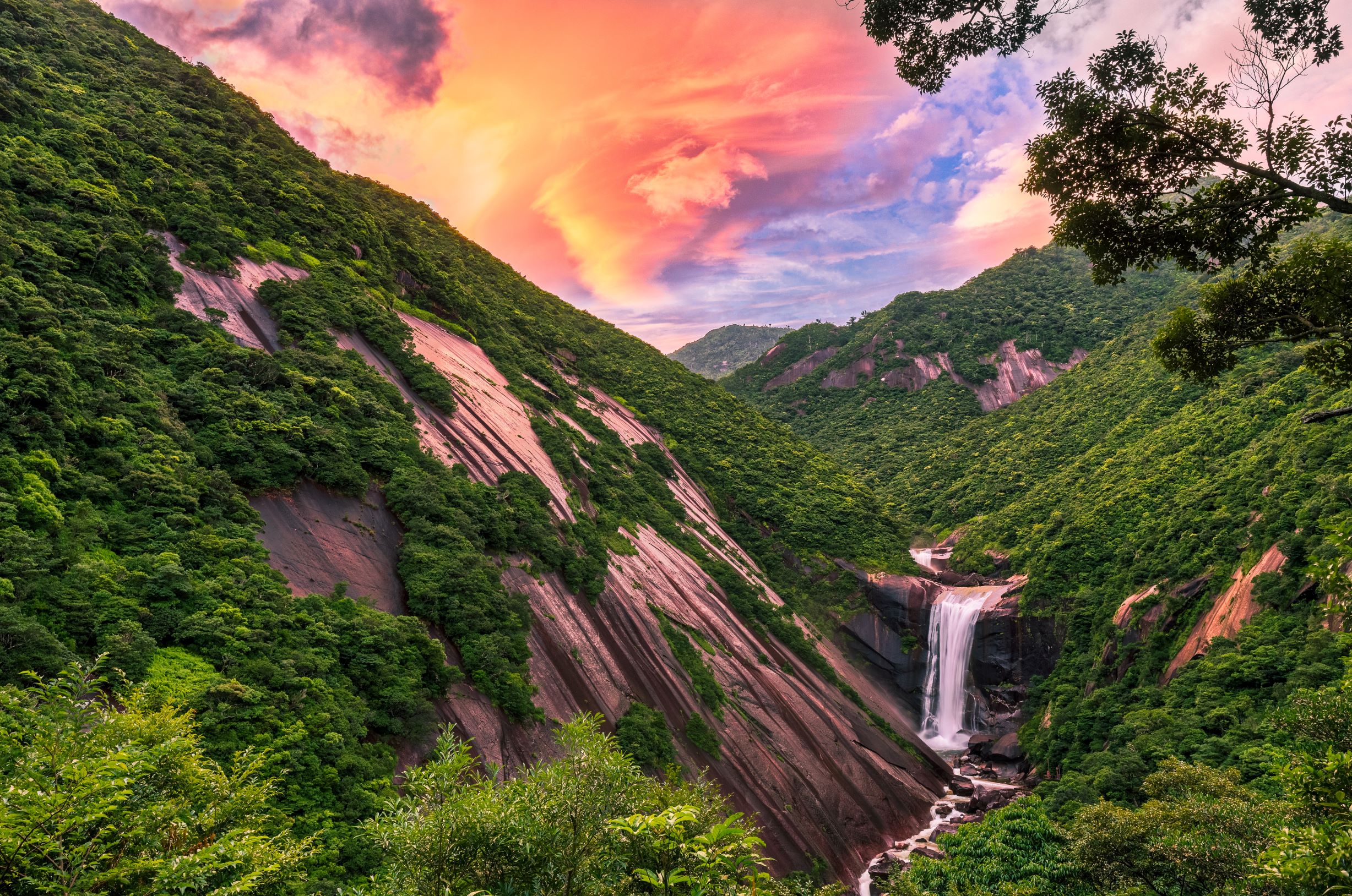 Yakushima